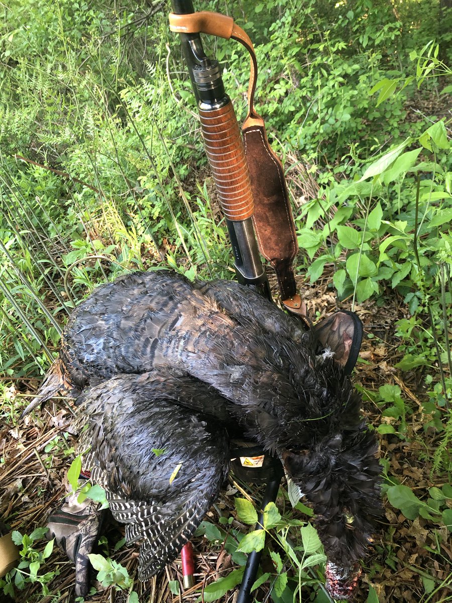 And my sons, Benjamin (4) & Eli (2), helped me pluck him. While Caleb (8mo.) watched. #proudfather ##michiganturkeyseason #turkeyseasonover #michiganhunter #huntingseason2020 #huntingwithsons #springturkey #SocialDistancing