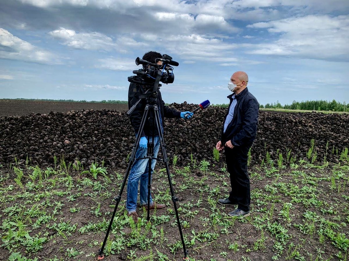 НАШЕСТВИЕ МОШКАРЫ И ТОШНОТВОРНЫЕ ЗАПАХИ. ЖИТЕЛИ ПОСЕЛКА ТОВАРКОВСКИЙ ПОЖАЛОВАЛИСЬ В «ЭКОЛОГИЧЕСКУЮ ЗАЩИТУ» НА ОГРОМНЫЕ СВАЛКИ ГНИЮЩЕЙ САХАРНОЙ СВЕКЛЫ И НЕОЧИЩЕННЫЕ СТОКИ. vk.com/ecozaschita?w=…