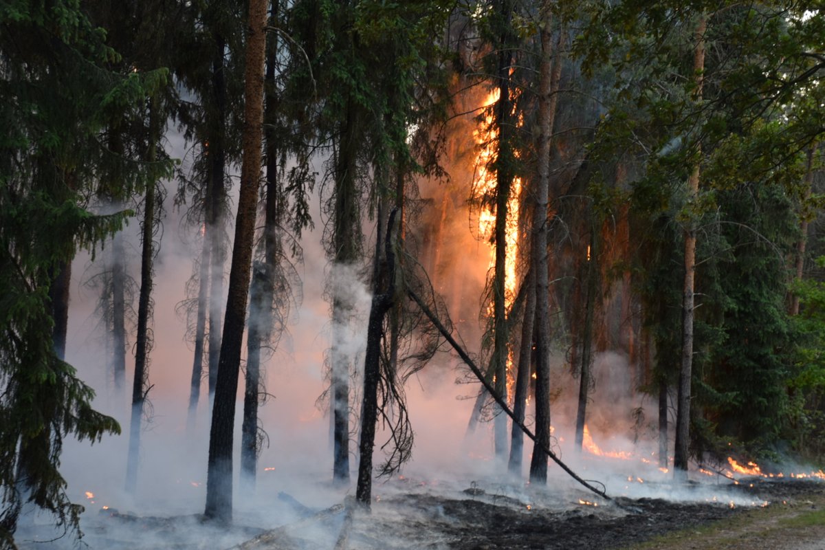 Metershoge vlammen bij bosbrand Wellerlooi, en dat is niet de enige natuurbrand vanavond in Noord-Limburg..