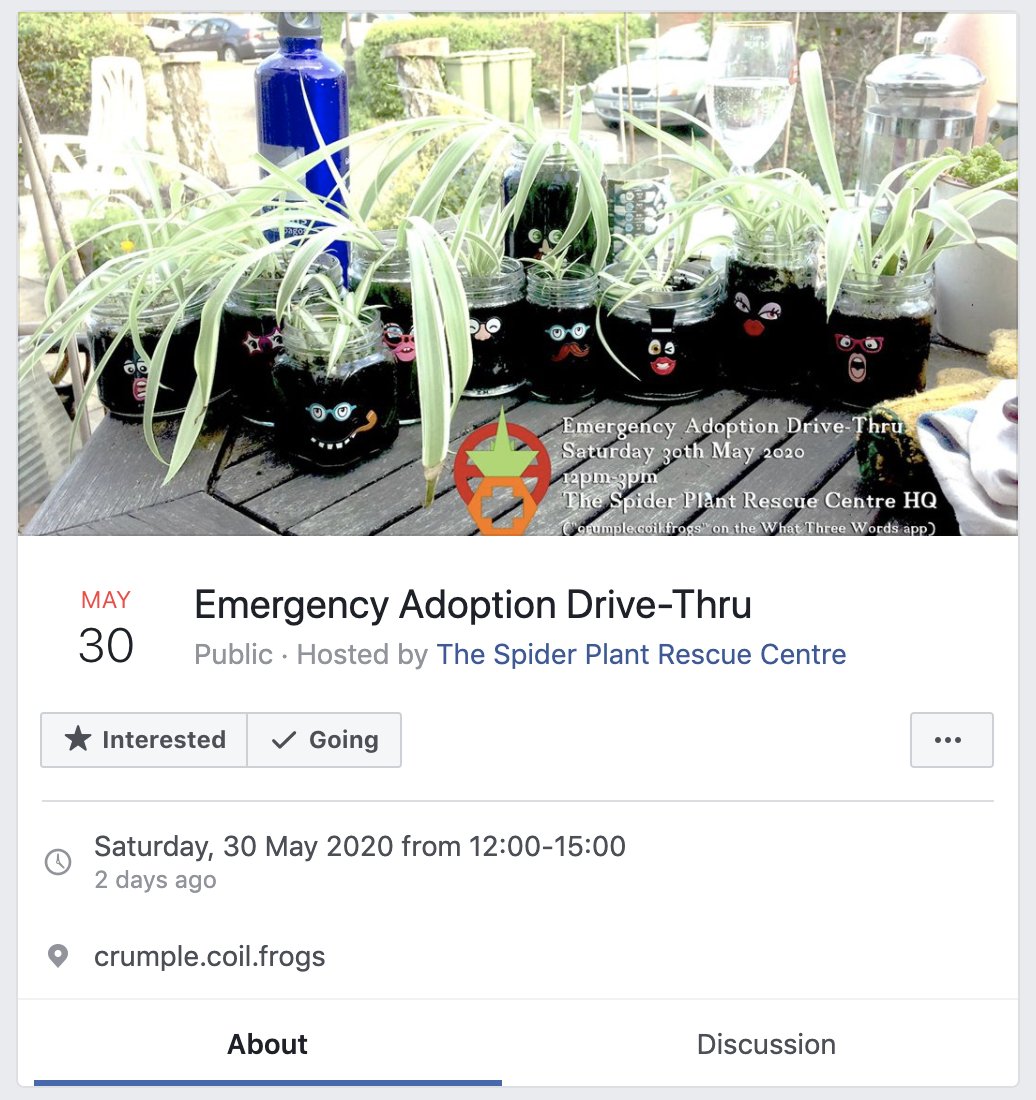 Spider plant rescue centre runs drive thru shop at ///crumple.coil.frogs