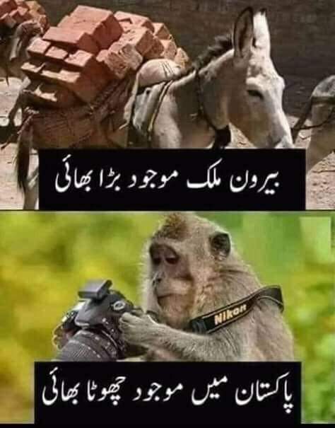 Baghoor_786's tweet photo. #Respect_ur_overseas_Brothers
💞🌹🌹🌹💞 https://t.co/EoThdWMbRa