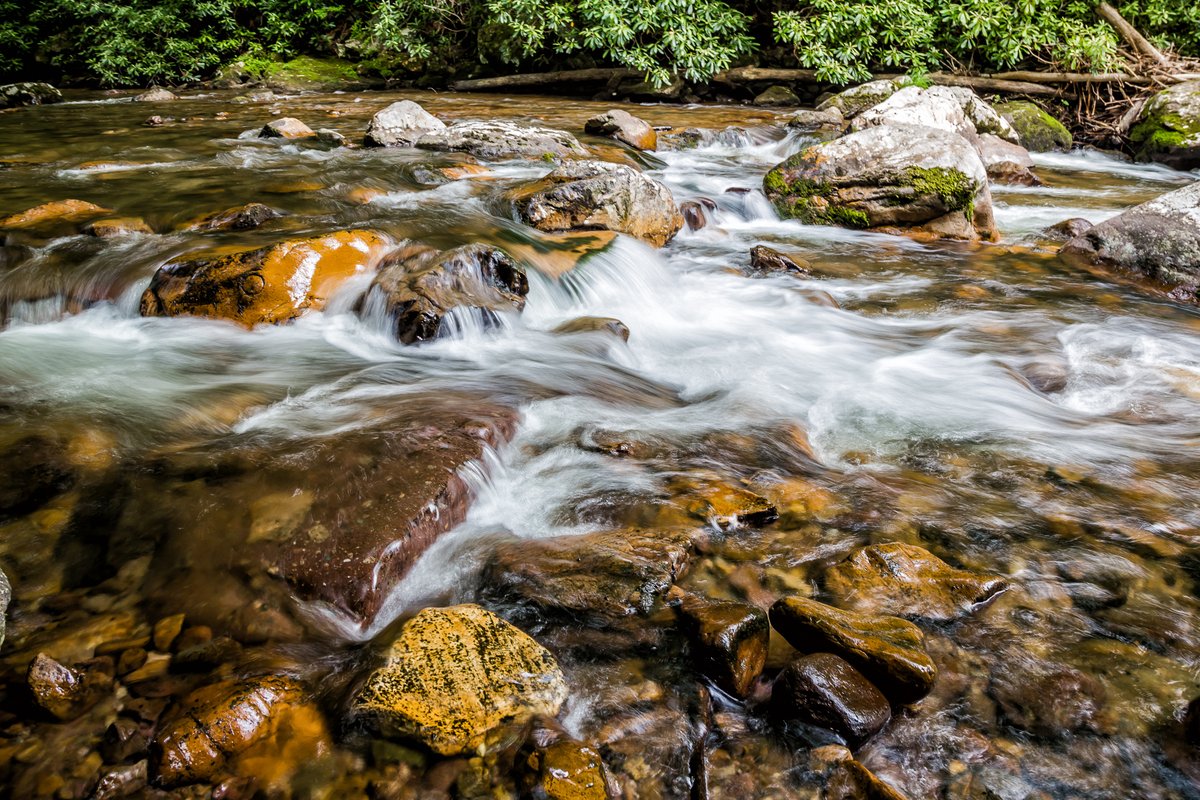 divergenttravel's tweet photo. From the minute we arrived in Southwest Virginia, we were told that we couldn’t leave without biking down the Virginia Creeper Trail
#Adventure #SWVirginia #LOVEVA #Travel #USTravel #DivergentTravel #outdoor @VisitVirginia #biking #bikingadventures https://t.co/1yIyZFHi0j