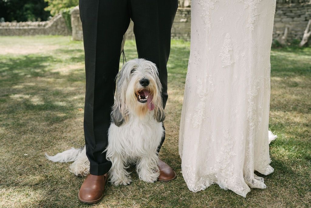 TheTytheBarn1's tweet photo. It’s a yes from us! We love our dogs so why not let them come to the wedding! @karibellamy #dogsatweddings #dogs #weddingplanning #barnwedding #loveatlaunton #tythebarnlaunton https://t.co/o4hFYjqKyX