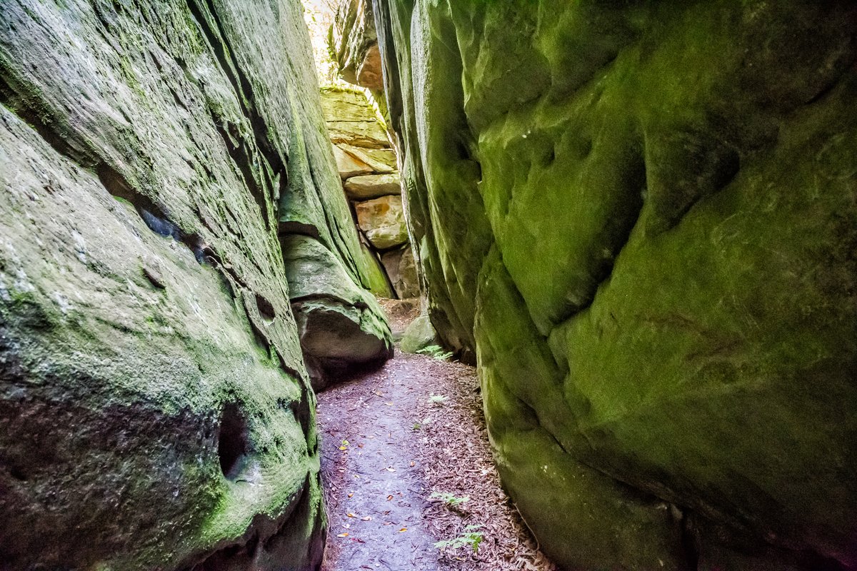 divergenttravel's tweet photo. The Channels is literally Virginia’s best-kept secret and one of the coolest and most unique hikes we have ever done.
#Adventure #SWVirginia #LOVEVA #Travel #USTravel #DivergentTravel #outdoor @VisitVirginia #Hiking #hikingadventures https://t.co/STDPbojr0E