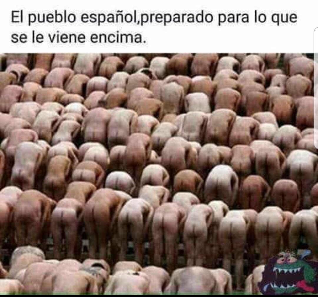 Migol1972's tweet photo. Los conductores de #TUSSAM ya se preparan para firmar el NUEVO CONVENIO...
@JuanEspadasSVQ
Habla bien de #Lipasam #envisesa #emasesa pero a la hora de hablar de #tusam NADA DE NADA...perdidas de 14 millones ¿las otras empresas municipales no se han sido afectadas por el COVID19? https://t.co/GRHC7mi0yy