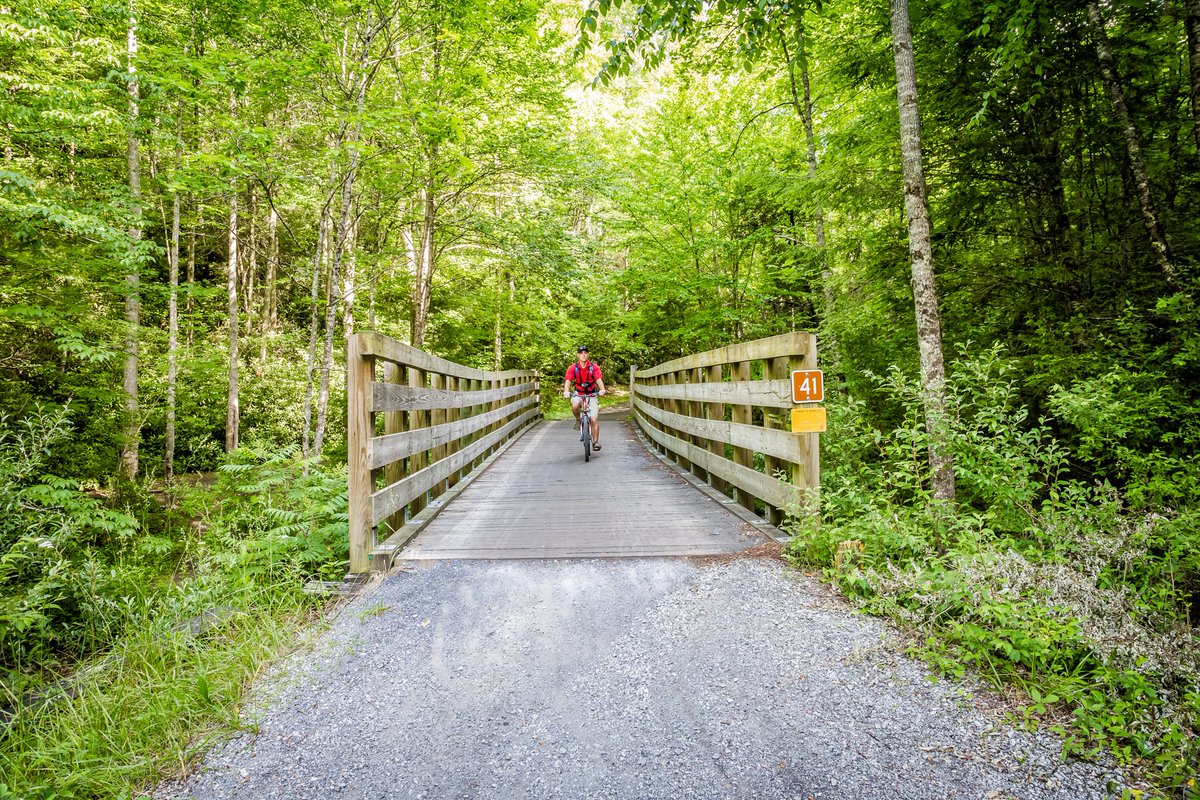 divergenttravel's tweet photo. From the minute we arrived in Southwest Virginia, we were told that we couldn’t leave without biking down the Virginia Creeper Trail
#Adventure #SWVirginia #LOVEVA #Travel #USTravel #DivergentTravel #outdoor @VisitVirginia #biking #bikingadventures https://t.co/1yIyZFHi0j