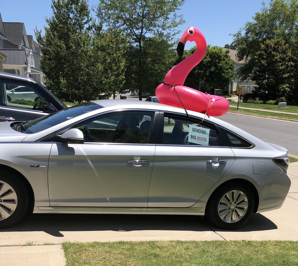 Sally Gemignani tweet media