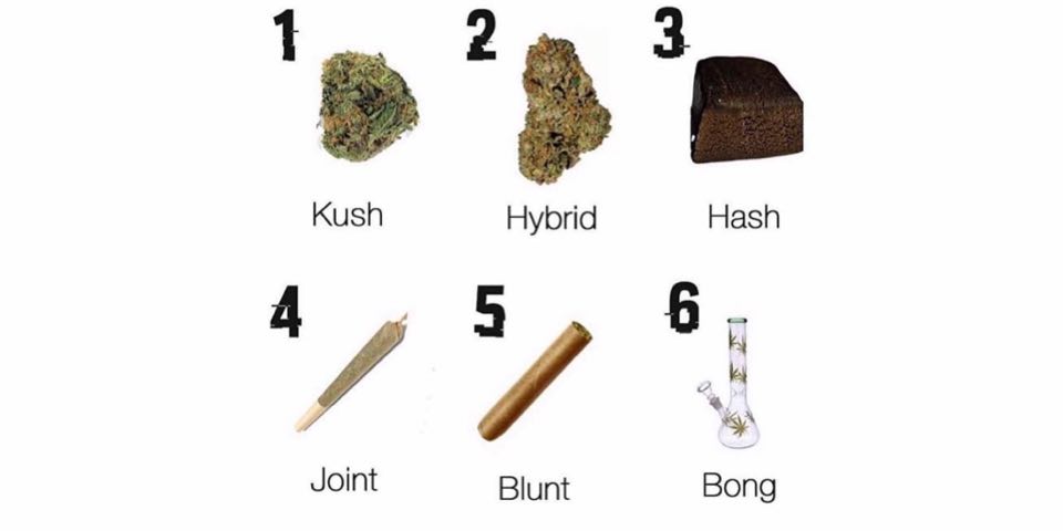 DanvilleDoap's tweet photo. Which one would you pick? Let us know in the comments! 

Order online or call (925) 464-2075 for 1hr delivery of flower, concentrates, and edibles.

https://t.co/v35SV7ZBym https://t.co/rrjs451KZh