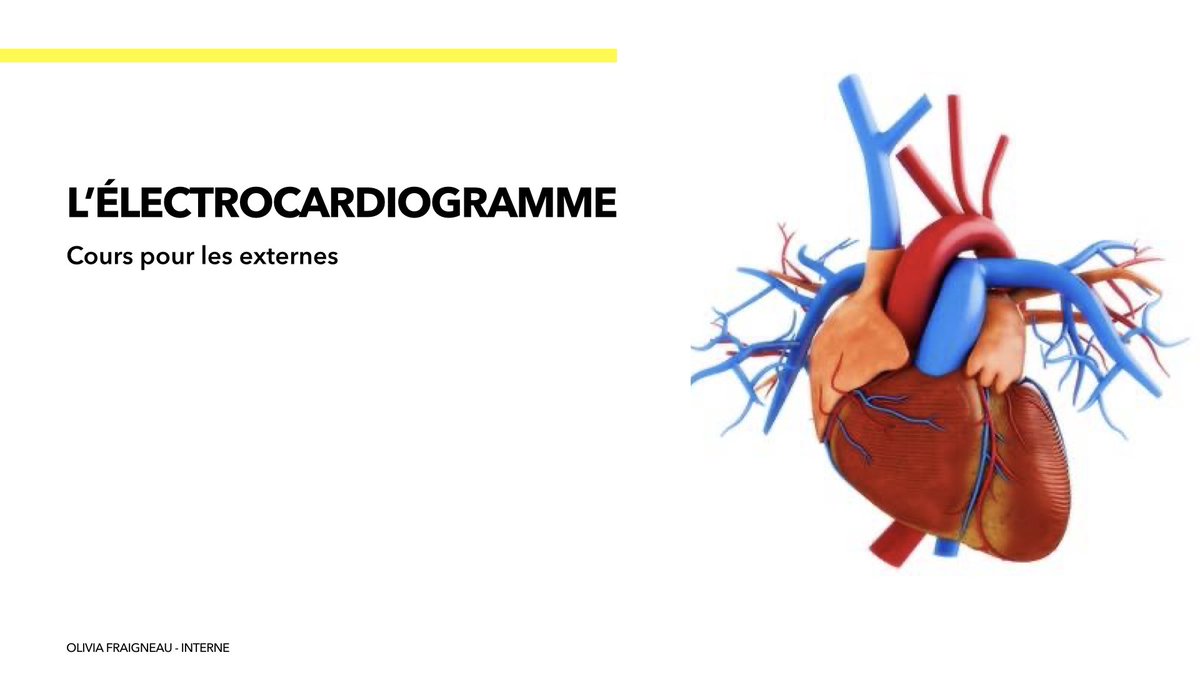 Olivia Fraigneau 🩺🚨 tweet media