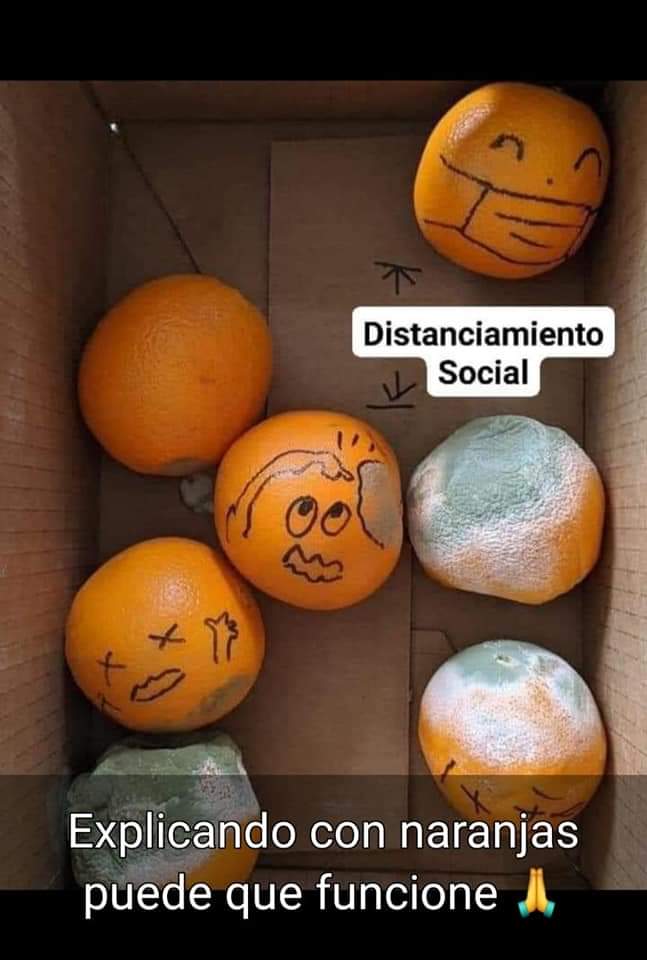 camiloerr's tweet image. 