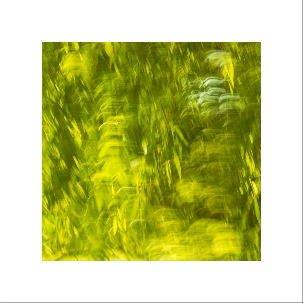 "The Wind in the Willows"
My entry for this weeks #Sharemondays2020