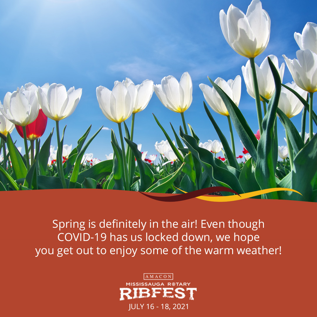 Finally weather we can get behind! What outdoor activity do you have planned for the first day of June? Get out and enjoy the sun, stay safe!

#juneishere #mississauga #sunshine #rotary #portcredit