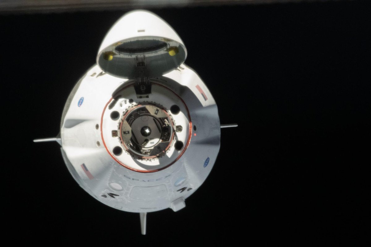 thesheetztweetz's tweet photo. The view from the International Space Station as SpaceX's Dragon Endeavour spacecraft docked yesterday.

Credit: NASA astronaut Chris Cassidy https://t.co/xkY1BDTC3P