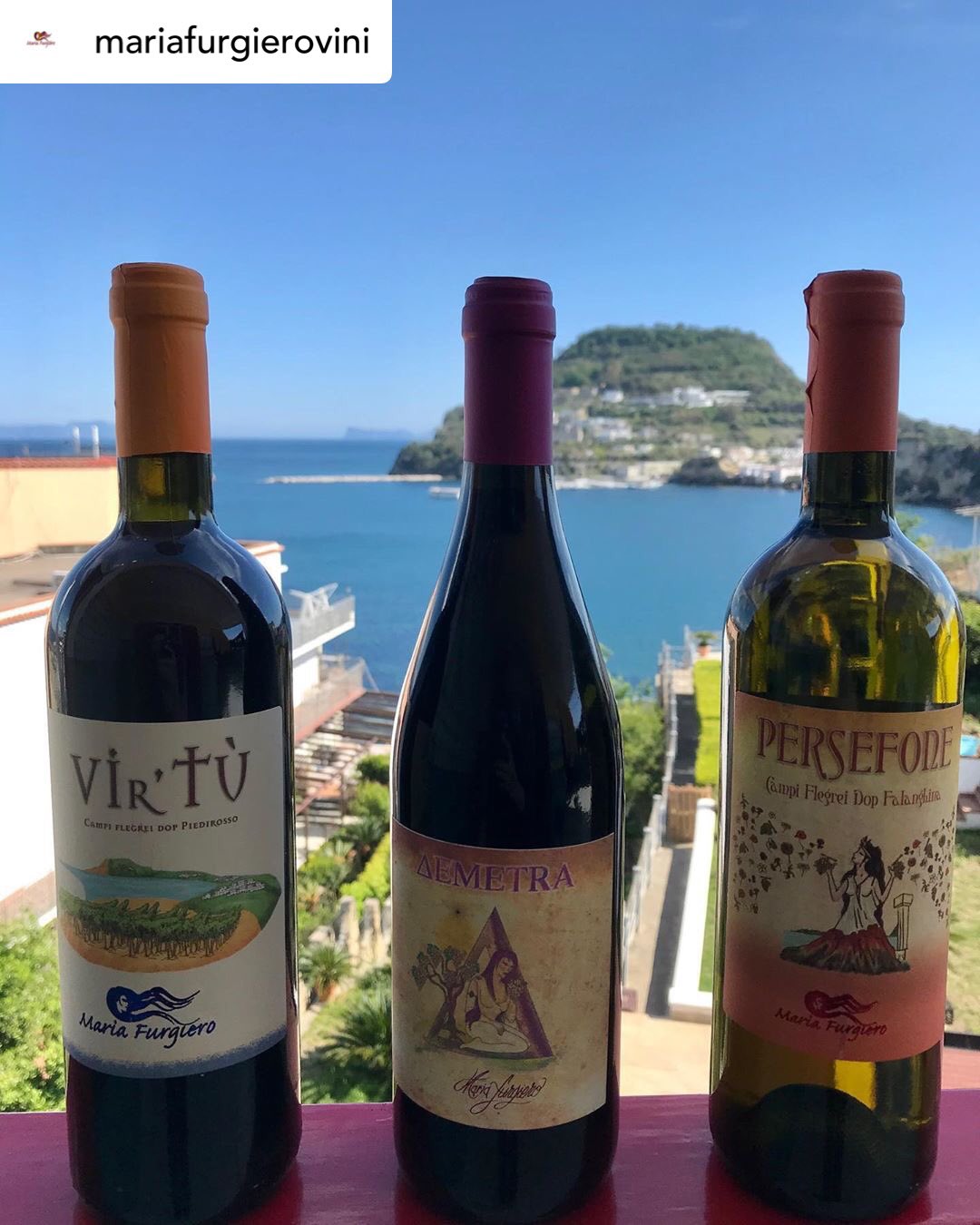 Gian Luca Garattoni On Twitter Mariafurgiero Wines Now Available For Frontdoor Delivery In France Spain Belgium Denmark Info Httpstco9yj2ogrgfx Campiflegrei Roccamonfina Campania Winelover Volcanicwine Piedirosso