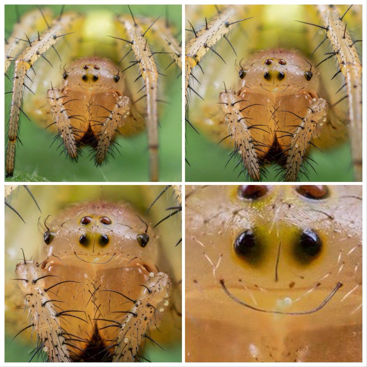 Once you see it, you can’t unsee it.