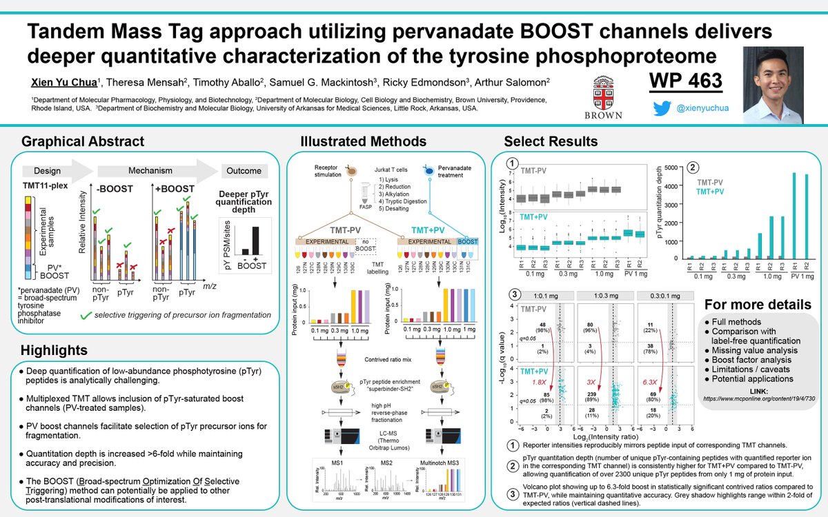 My #ASMS2020 poster is now available on-demand! (WP463, 1st poster under Phosphopeptides: Quantitative Analysis). We applied boost channel approach for pTyr-omics and it successfully increased quantitation depth. Could potentially work for other PTMs, check it out!