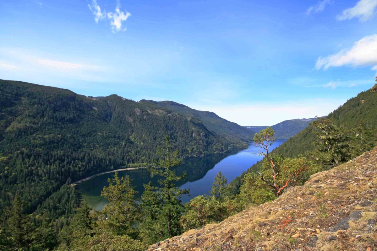 JoshMGillingham's tweet image. So yesterday we did a summit scramble up Mount Wesley... just a leisurely little 33 km... and now I am laying on my couch pretending that my limbs could be functionally operational if I wanted them to be. But the views were great! 

#VanIlse #BC #Mountains #Outdoors #CameronLake