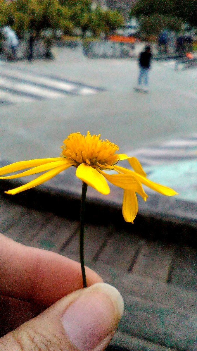 Juana88m's tweet photo. #Microcuento Yo -Creí que todo lo venia haciendo bien.
Dios -Si, pero te falto algo.
Y-¿Qué pudo faltar?Te Obedeci.
D-Lo vi, solo te olvidaste de mi.Te dí amigos, flia, trabajo; pero no me buscaste.Por eso te doy la oportunidad de una nueva vida. #MismoFinal https://t.co/2s8tJ0ogzO
