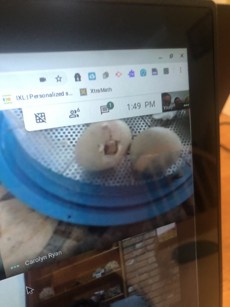 Mrs. Romano tweet media