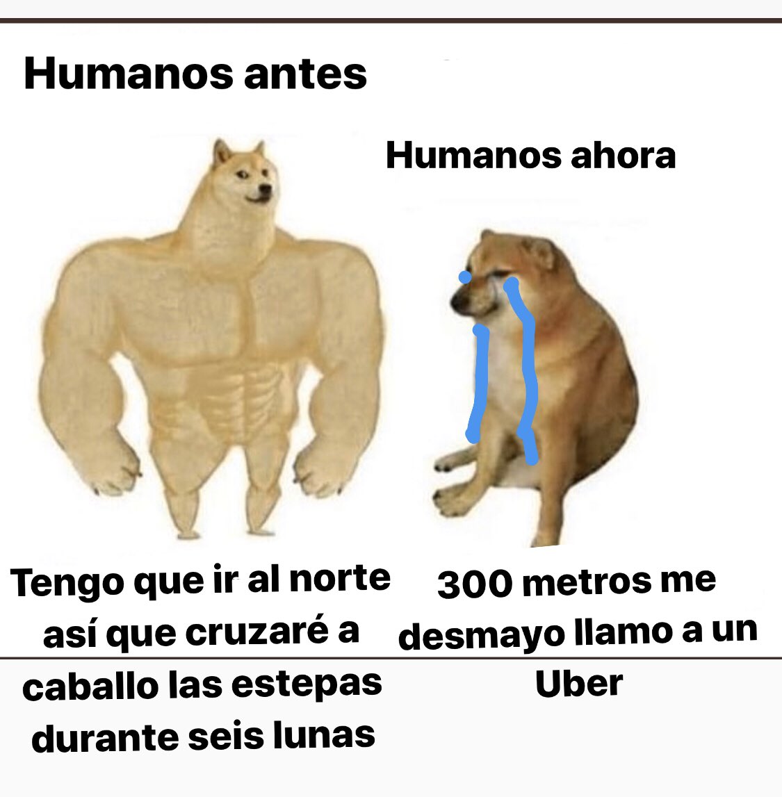 Willi Depu (@guille_ferram) on Twitter photo 