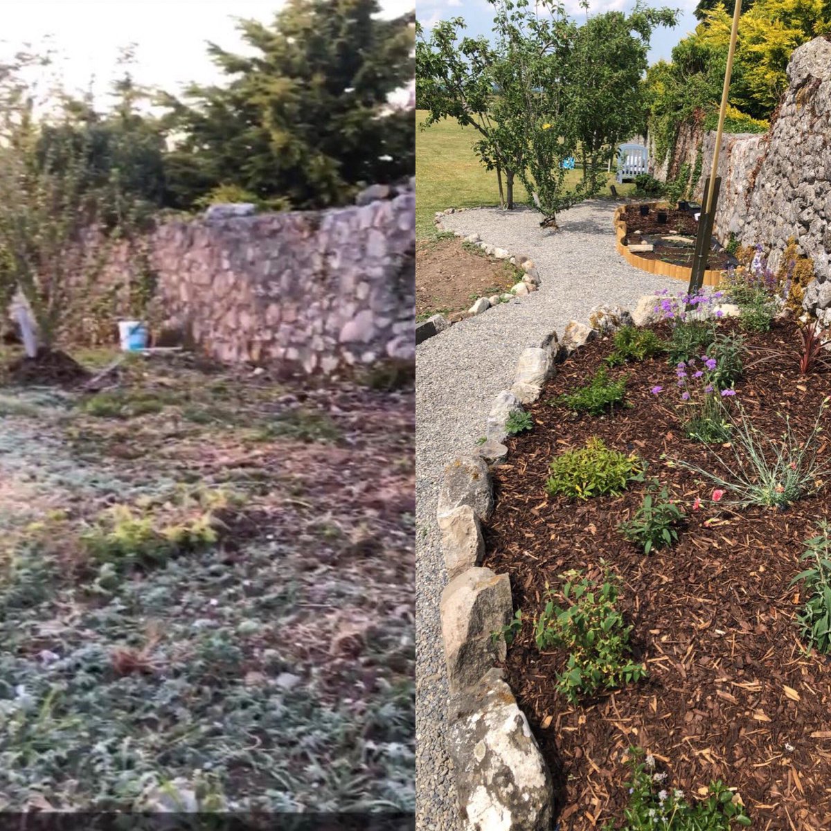 ar_crean's tweet photo. Our #COVID19 garden project... bit late for  #BloomwithRTE #stillproud #BloomAtHome @barryteehan7 💖🙌🏻 https://t.co/Z4lRLGv1kY