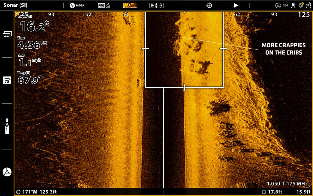 HumminbirdFish tweet media