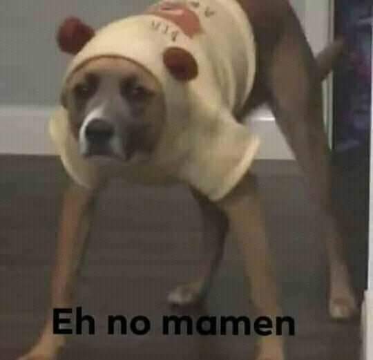 GlitcherSlug's tweet image. Apenas asimiló que traen a anonymous a la 6ta temporada del 2020
Y apenas va un día de la 6ta temporada y ya me vienen con el desmadre de la casa blanca