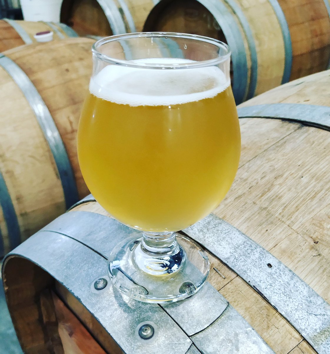 But ....we also filled a barrel from @windfallcider, and aged it for 6 months. And it's on tap NOW in the tasting room. It's picked up some nice tart sourness from the apple cider, and some oak tannins from the barrel. It is delicious!

#BarrelAged #OnTapNow #SupportLocal