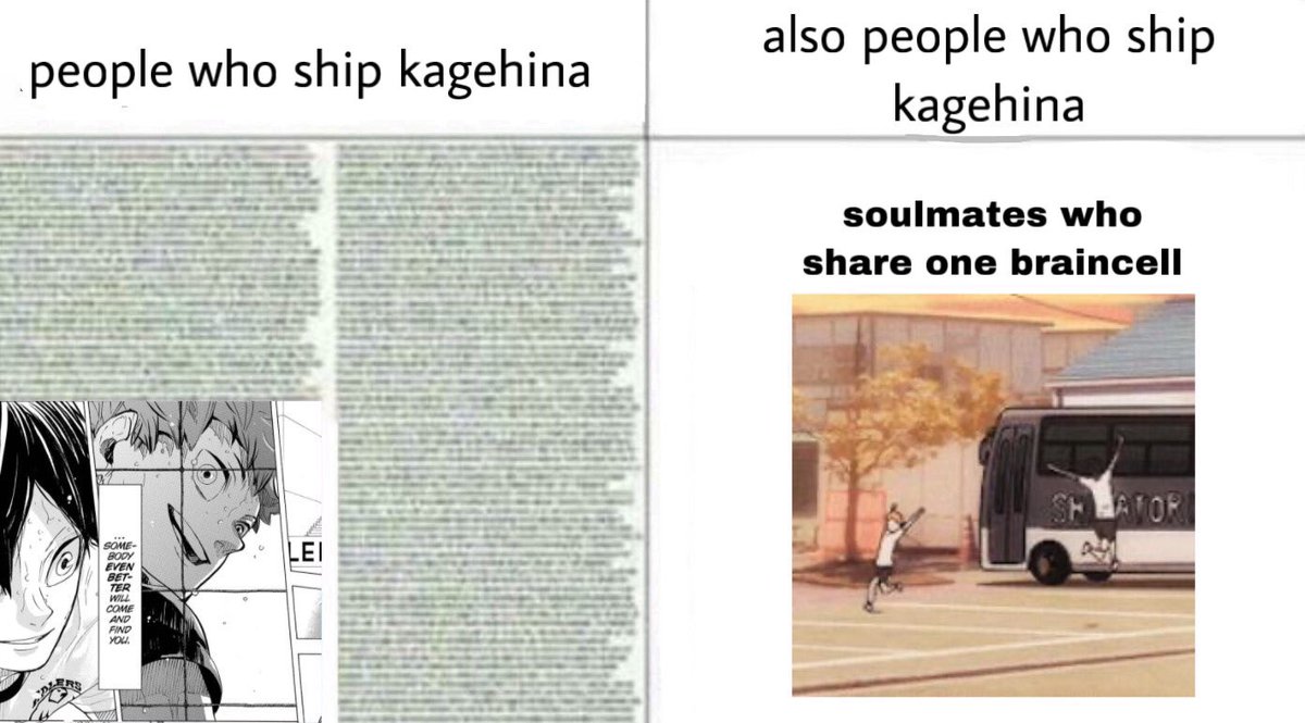 But also yes this meme 😂
On some occasions be like, 'spouts an endless essay about how they're destined soulmates literally made for each other and how much they mean to each other even outside romance and–' 

Other times be like, *shrug* 'idk they're dumb single braincell'