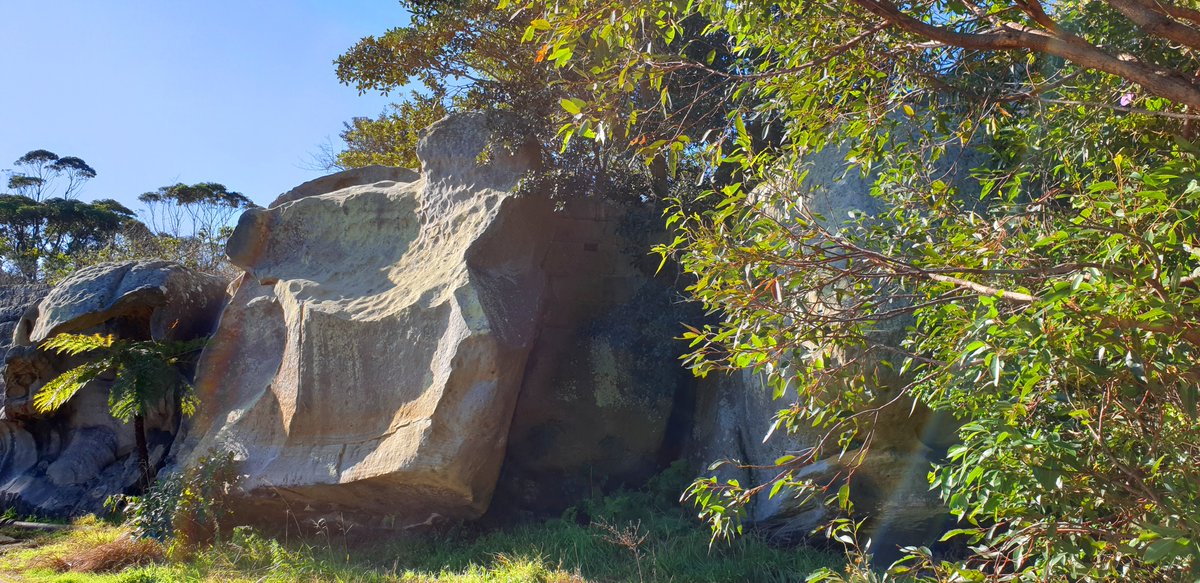 Whichever path takes you it's an uphill journey to reach the Sun and the Moon 😀☀️🌔

#WalkingwithNature
#Naturepics 
Click to expand pls. #Tuesday #Southhead 🇦🇺