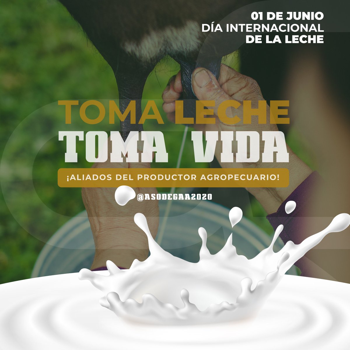 Feliz día internacional de la leche, un día donde se celebra la contribución del sector lácteo a la sostenibilidad, el desarrollo económico, los medios de vida y la nutrición♻️ #Asodegaa #DiadelaLeche ¡Aliados del productor agropecuario!