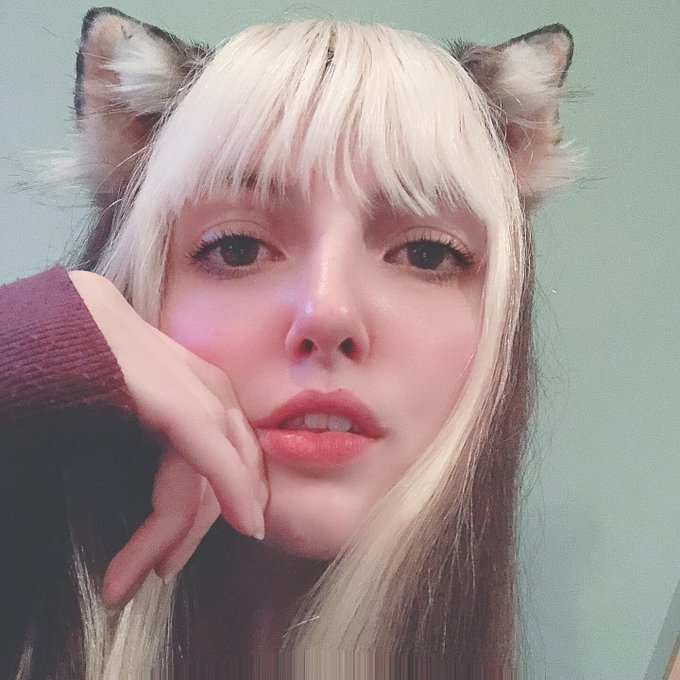 Found my old cat ears (by WoodlandCreature) honestly THE BEST cat ears I have ever owned. I cannot believe<a href="/tag/nekogirl"class="tags"><span>#nekogirl</span></a><a href="/tag/neko"class="tags"><span>#neko</span></a><a href="/tag/catgirlmanor"class="tags"><span>#catgirlmanor</span></a><a href="/tag/chateaucatgirl"class="tags"><span>#chateaucatgirl</span></a>