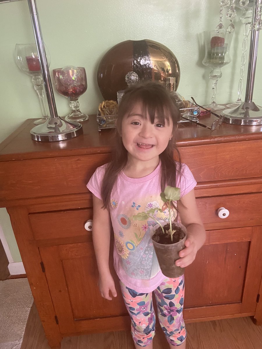 When we give our plants love and care, they grow! ❤️ ⁦<a href="/Relay_BCPS/">Relay Elementary</a>⁩ ⁦<a href="/relaypta/">Relay Elementary PTA</a>⁩ #distancelearning #plants #seeds #sunlight #air #water #care #love