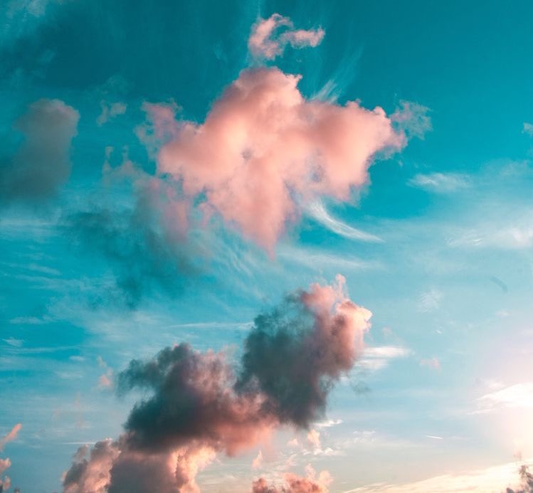 RealGirlPilates tweet media