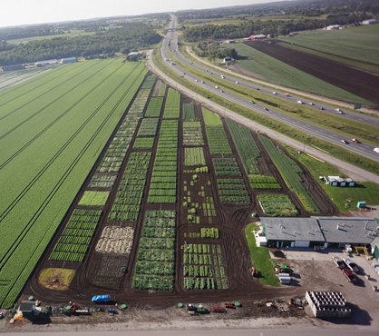 KingTownship's tweet photo. It’s #LocalFoodWeek. Did you know the Holland Marsh produces more than 34 crops on more than 7,300 hectares of land, covering parts of King, Bradford, Newmarket and Georgina? Read more: https://t.co/Ei36YUatpN #loveYRFood #loveONTfood #localfood https://t.co/yqzq7BXlKn