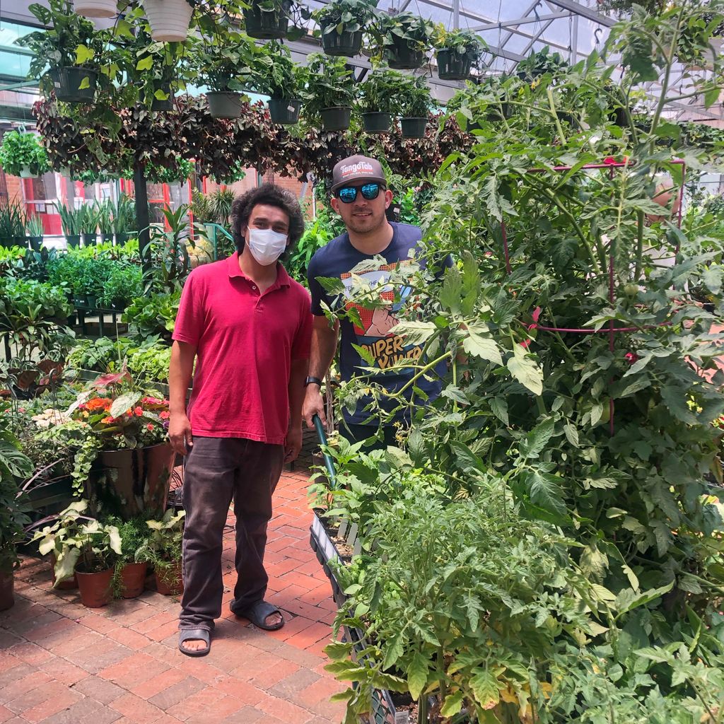TangoTab's tweet image. Loading up more veggies for our garden at The Bridge Homeless Shelter in Dallas, TX! More fresh food on its way.