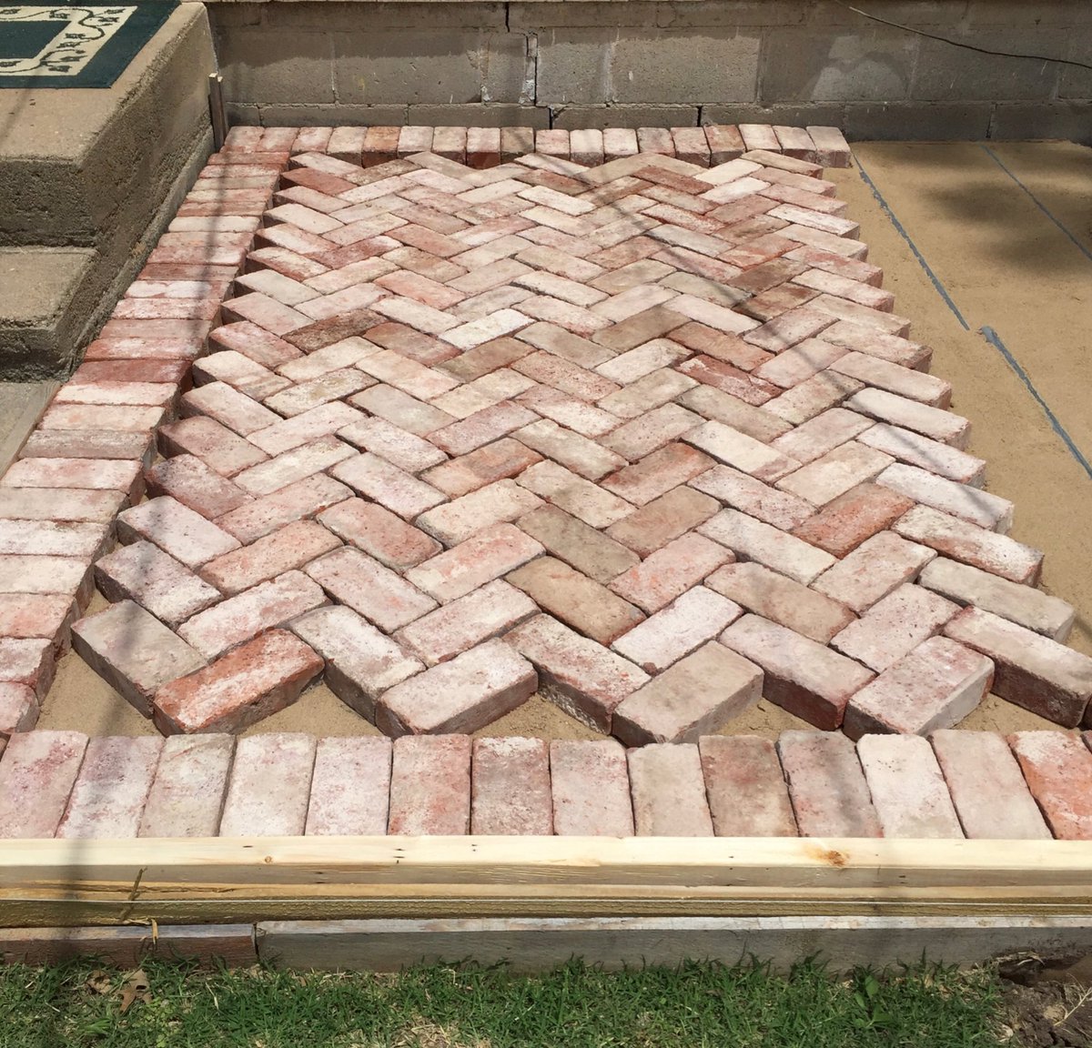 BarbwireBerries's tweet photo. Making progress... #reclaimedbricks #patio #mywildlifeandmegarden https://t.co/3rwDwRbaFJ