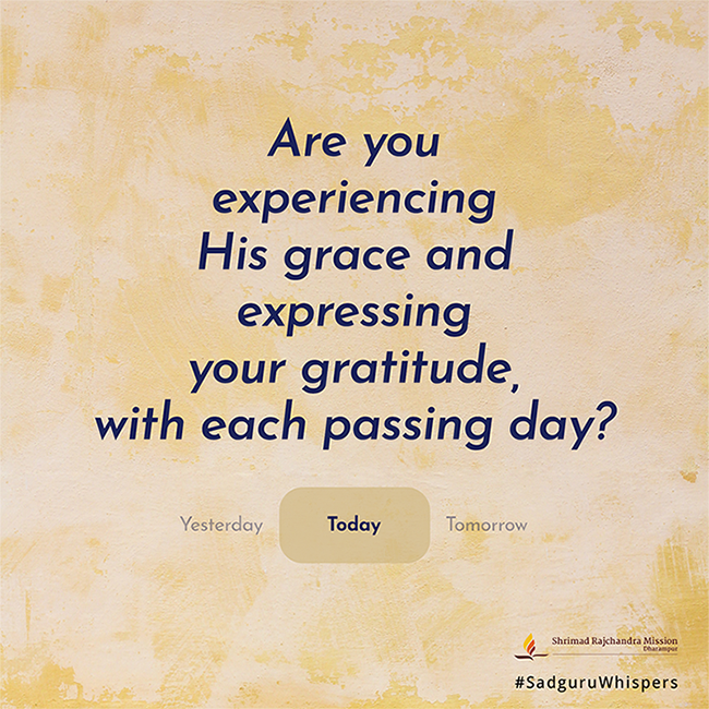 SRMDharampur's tweet photo. #SadguruWhispers #Quotes #QOTD #StayInGoWithin #TuesdayThoughts #Grace #Gratitude https://t.co/kgyr4srhEJ