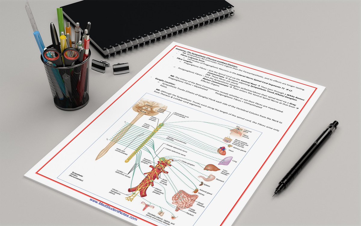 MedStudentStudying (@MedStudying) / Posts / X