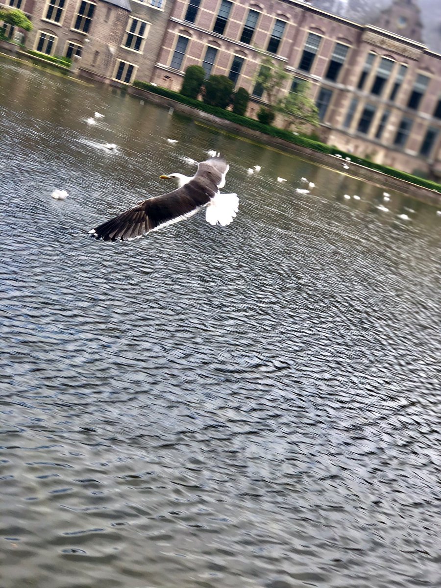 doo847's tweet photo. #تصويري #عطونا_مشهور_يستحق_الشهره https://t.co/gO7moo8e4I