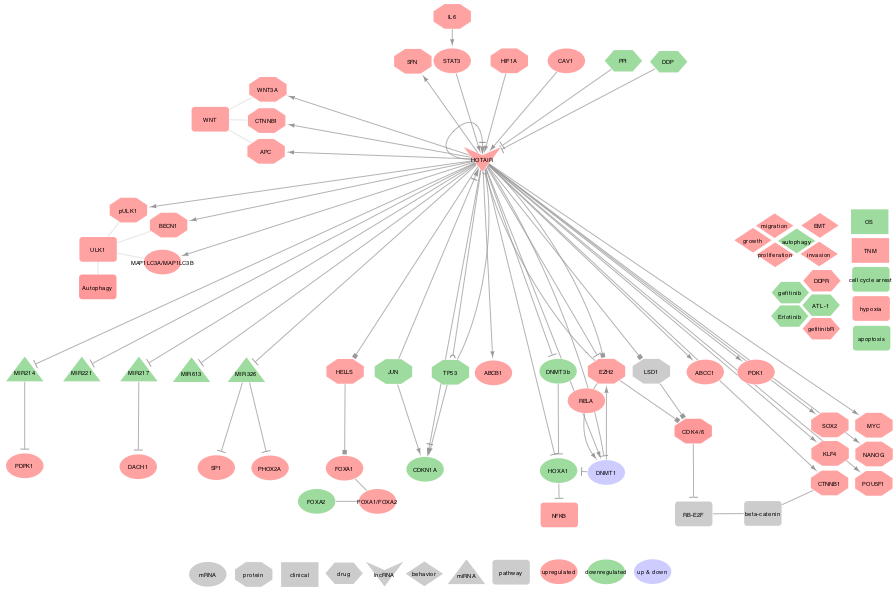 krisspnet's tweet photo. Please share. HOTAIR regulation landscape in Lung Cancer https://t.co/CMvFSHhj6I 
recently published in https://t.co/ZtE3Xt9zxs 
@IJMS_MDPI
 #HOTAIR #lncRNA #miRNA #protein #lungcancer #molecular #interaction #network https://t.co/pXMGAPf22o