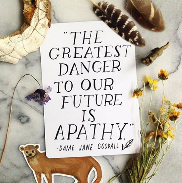 JaneGoodallInst's tweet photo. What you do makes a difference <3 via @kelzuki https://t.co/e7a4TxbM11