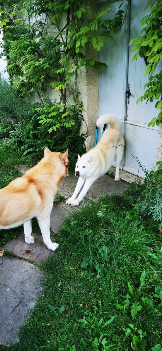 Pascal de Aguiar tweet media