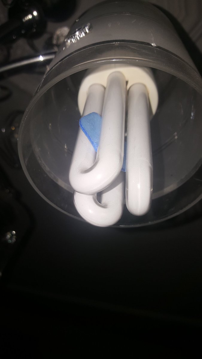 Sivri sineklere son...