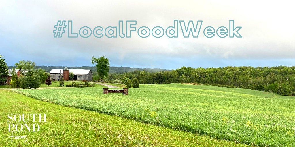 Have you heard? It's #LocalFoodWeek here in #Ontario! 😊❤️️ Support your local farmers, producers and restaurants in the wonderful, beautiful & bountiful province of Ontario. A big thank you to those who put food on our plates! 🍴 @FarmFoodCareON @OntarioCulinary @OntarioFarms