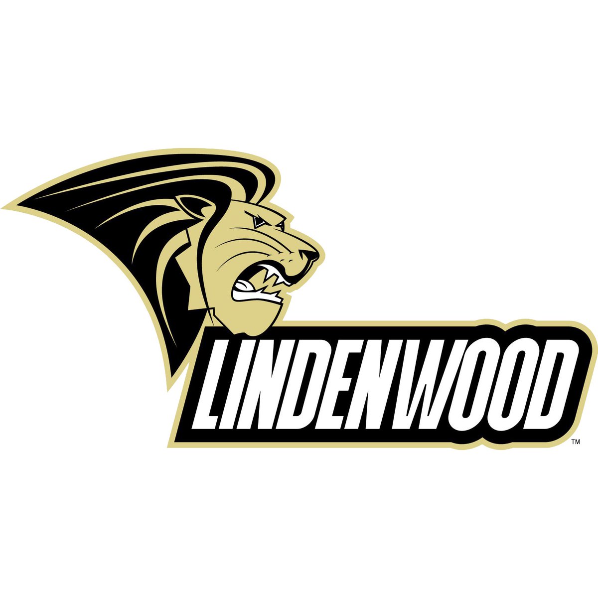 carson_subbert's tweet image. I am very excited to announce my commitment to Lindenwood University, where I’ll be furthering my academic and baseball career.  I would like to thank my friends, family, and especially coaches for all of the support they’ve shown me.@howell_baseball @SwingRehab @LULIONSBASEBALL