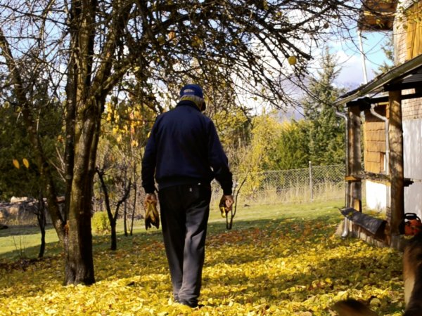 Coronavirus: Corto narrado por @mercedesmoranb, creado en cuarentena, se convierte en un fenómeno viral | EscribiendoCine escribiendocine.com/noticia/001717… a través de <a href="/escribiendocine/">EscribiendoCine</a>