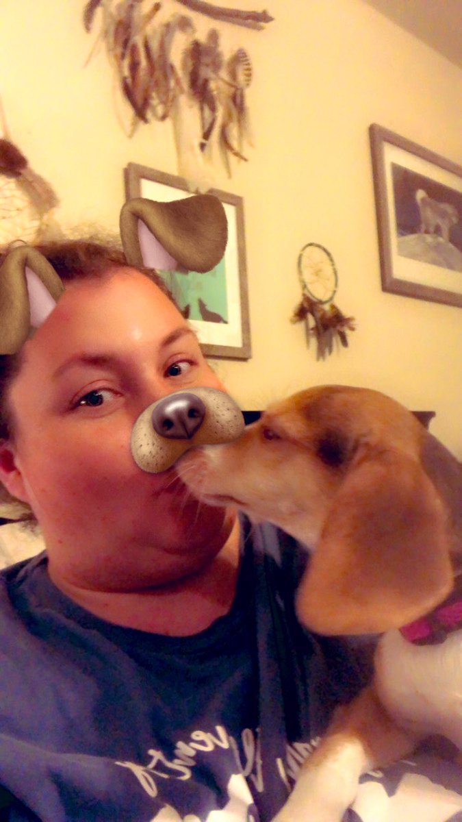 HollyRoth2017's tweet photo. Trying to take the #funfilterselfie with Hayden ❤️🐾 proved challenging. #tmgenius #SummerSelfieChallenge #dogsoftwitter #dogs #snapchat https://t.co/7MGFsOEpw9