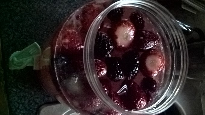 𝕾𝖙𝖗𝖆𝖓𝖌𝖊 𝕹𝖔𝖈𝖙𝖚𝖗𝖓𝖆𝖑 - 3 pic. I am Armed with Gin, bitter lemon cordial, summer fruit cordial & fizzy Lemoade. With Frozen Red Berries. This will get me Naked and doin solos! #Ginning #Gin https://t.co/Eh3Z9piWkc