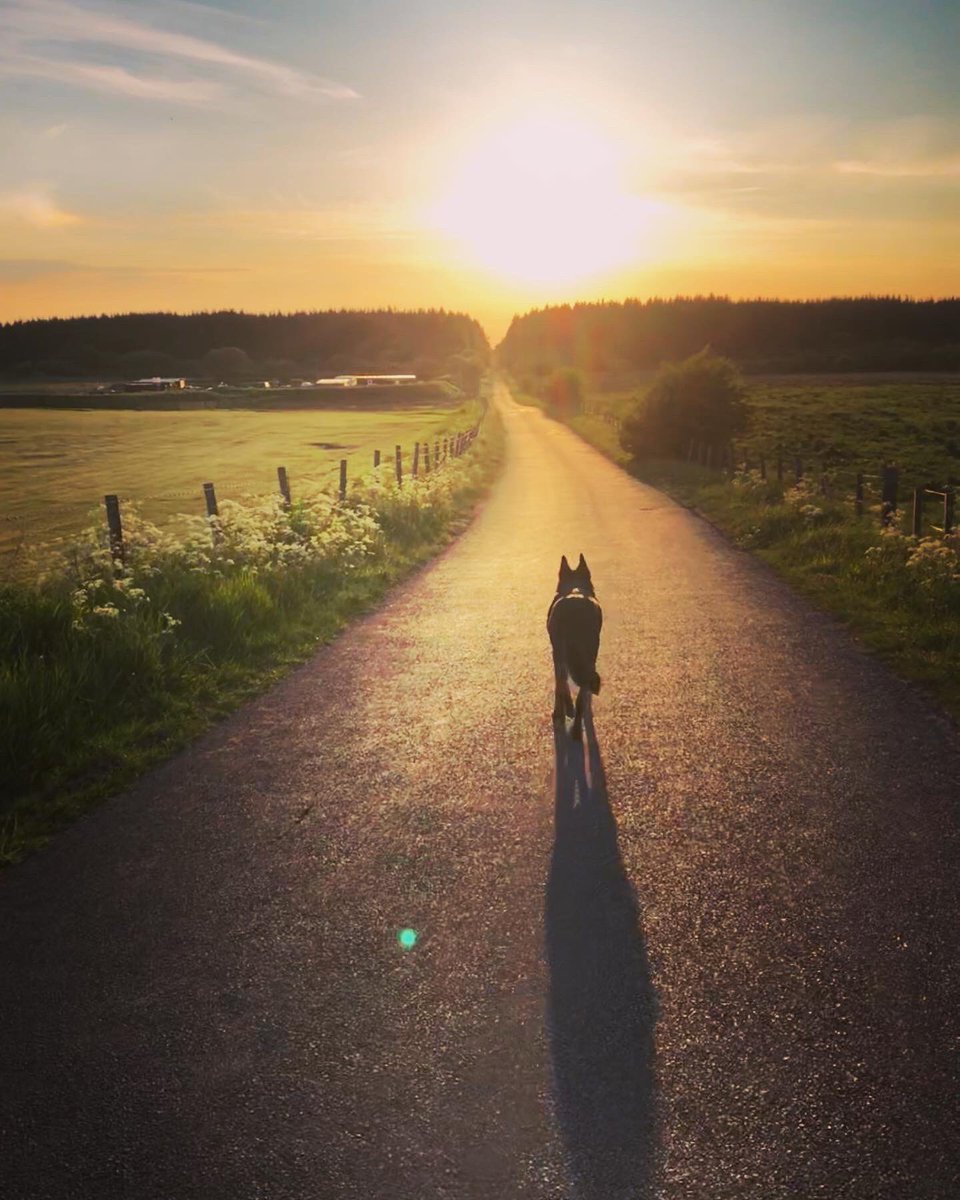 MarlaBBaird's tweet photo. Good way to end the day #walk500 #UWSPODChallenge #wellbeing https://t.co/IoJjYhtRcs